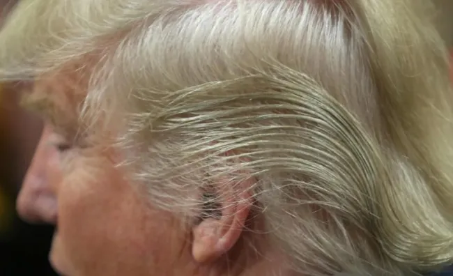 trump bad hair day trump bad hair day